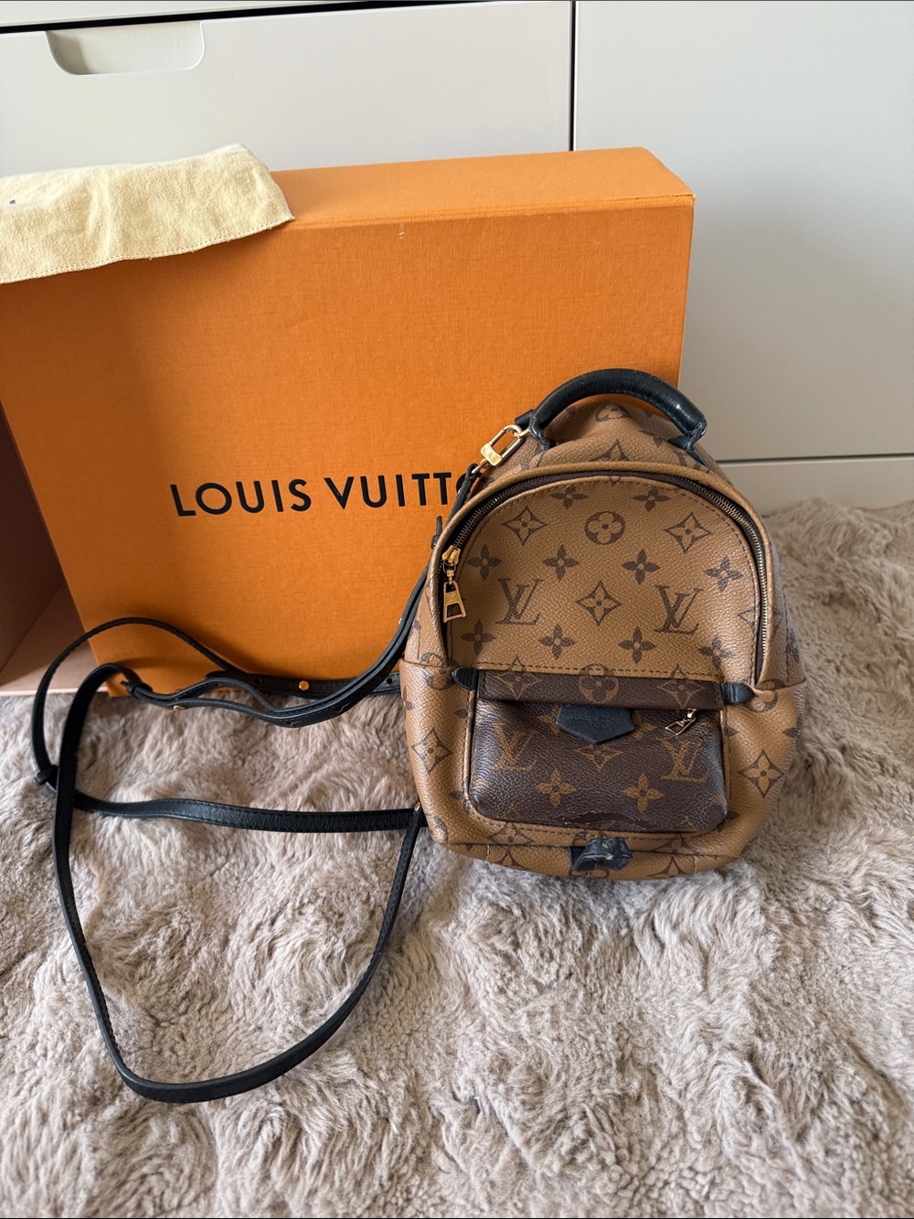 Louis Vuitton
Preloved Louis Vuitton Palm Spring Mini Reverse Monogram Backpack